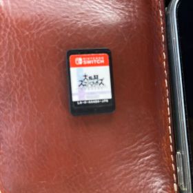 大乱闘スマッシュブラザーズ SPECIAL Switchソフト