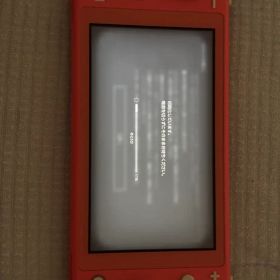 Nintendo Switch Lite 本体 ピンク