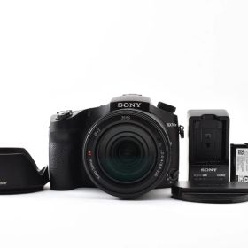 極上品 Sony DSC-RX10M4 の０１６
