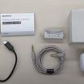 ワイヤレスイヤホン WF-L900 SONY