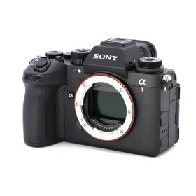 【極美品/保証】SONY α1 II ILCE-1M2 _GP00020310