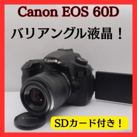 Canon EOS 60D ♪ バリアングル液晶♪動作良好♪高画質♪