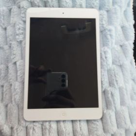 iPad mini (第1世代) 7.9インチ