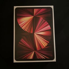 【ジャンク・水没】Apple 11インチ iPad Pro 第3世代 256GB