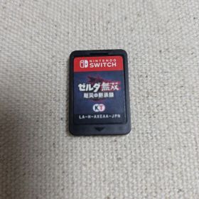 Nintendo Switch ゼルダ無双 厄災の黙示録 ソフト