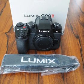 Panasonic LUMIX DC-G99II ボディ ショット数 2317回