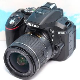 ニコン Nikon D5300⭐️WIFI機能搭載！⭐️一眼レフ⭐️おまけ多数