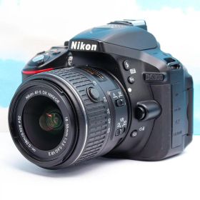 ニコン Nikon D5300⭐️WIFI機能搭載！⭐️一眼レフ⭐️自撮りも