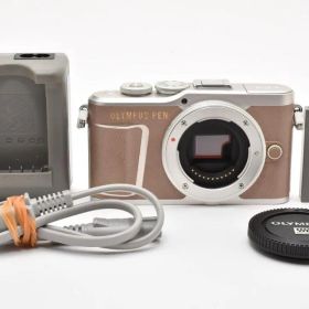 OLYMPUS オリンパス PEN E-PL10 ボディ ブラウン A0590