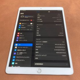 4434 電池良好☆iPad Pro 256GB 10.5インチ SIMフリー☆