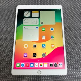 4436 電池最良好☆iPad Pro 256GB 10.5インチ SIMフリー