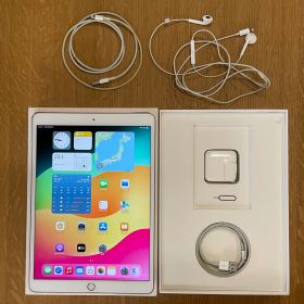 Apple iPad Pro 10.5インチ 64GB SIMフリー+おまけ