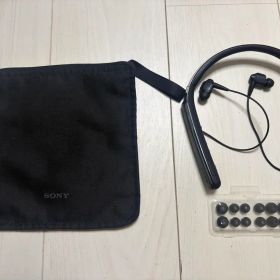 SONY WI-1000X ノイキャンイヤホン 動作確認済 純正ポーチ付