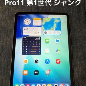 Apple iPad Pro 11インチ 第1世代 64GB 本体 ジャンク