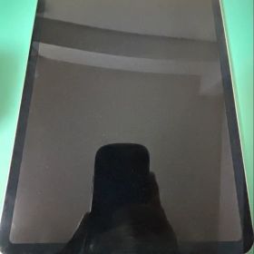 iPad Pro 11インチ(第一世代) Apple pencil(二世代)付き
