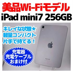 WiFi専用 iPad mini 第7世代 本体 256GB 1419