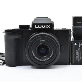 Panasonic Lumix DC-G100 レンズキット ミラーレスカメラ