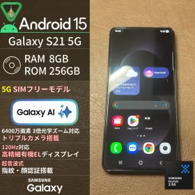 【GalaxyAI】Galaxy S21 5G 256GB 海外版SIMフリー