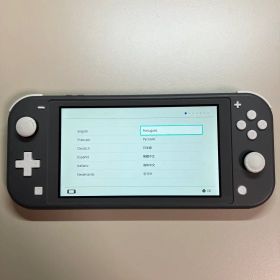 Nintendo Switch Lite 本体 グレー