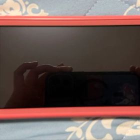 Nintendo Switch Lite コーラル ゲーム機本体 中古 12,300円 | ネット