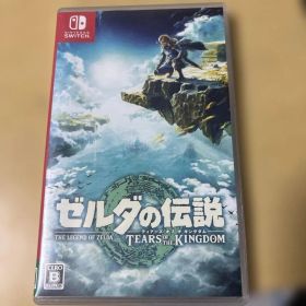 ゼルダの伝説 ティアーズ オブ ザ キングダム
