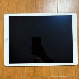 Apple iPad 本体12.9インチiPad Pro