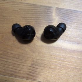 Technics EAH-AZ40M2 耳のみ