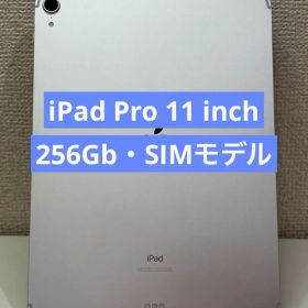 ✅iPad Pro 11インチ✨256GB SIMモデルMU172J/A ❣️