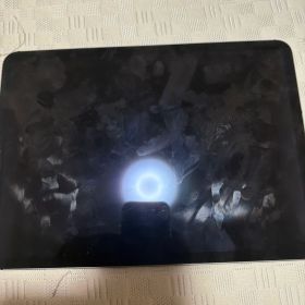 iPad Pro 11 第4世代(2022発売) 新品 93,333円 中古 75,000円 | ネット