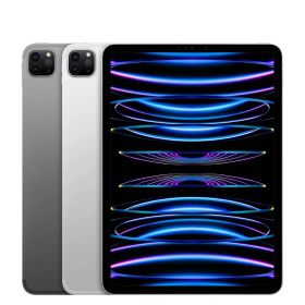 iPad Pro 11インチ 第4世代 128GB AppleCare+
