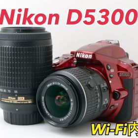 S数約1060回！Nikon D5300★初心者向け★Wi-Fi内蔵★すぐ使える
