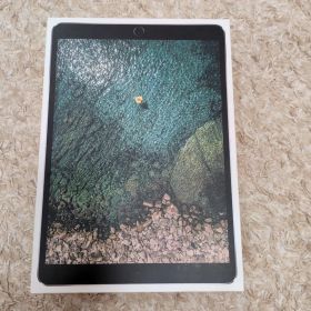 M*I様 Apple iPad Pro 10.5インチ 64GB 本体