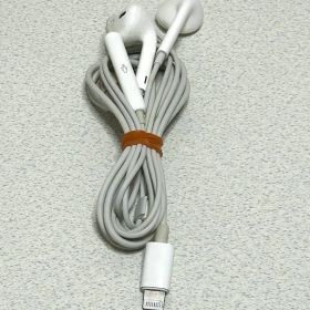 【訳あり・ジャンク】Apple純正 EarPods（Lightningタイプ）