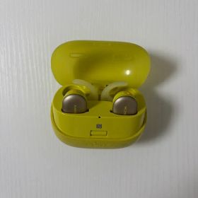 SONY ワイヤレスイヤホン WF-SP900
