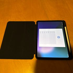 Apple 11インチ iPad Pro (M4) Wi-Fi 256GB