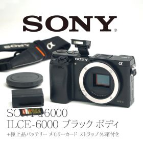 ★極上品★ SONY α6000 ILCE-6000 シャッター回数4080枚！