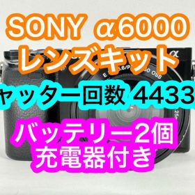 SONY α6000 レンズキット シャッター回数4433回 バッテリー2個