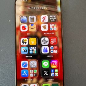 Apple iPhone 16 Pro 本体