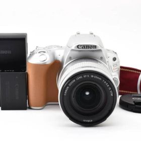 ★極上美品★《ショット数4322回》キヤノン CANON EOS Kiss X9 EF-S18-55mm F4-5.6 IS STM レンズキット シルバー★ YMA1768＃41