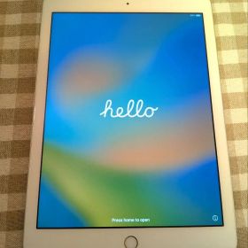 iPad 第5世代 A1822 本体(充電ケーブル付)