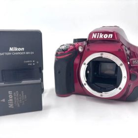 【極美品】Nikon ニコン D5200 本体 希少 カラー レッド