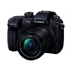 【長期5年保証付】パナソニック Panasonic LUMIX DC-GH5M2M 標準ズームレンズキット DCGH5M2M