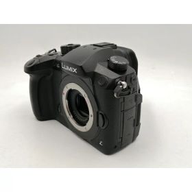 【中古】Panasonic LUMIX GH5 ボディ DC-GH5-K ブラック【ECセンター】保証期間1ヶ月【ランクB】