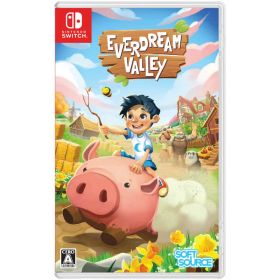 Everdream Valley -Switch [video game]