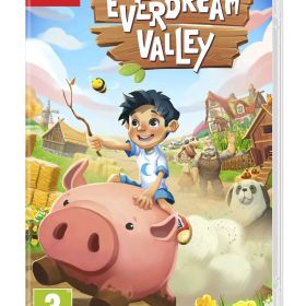 Everdream Valley 北米版 Nintendo Switch ニンテンドースイッチ 海外版ソフト