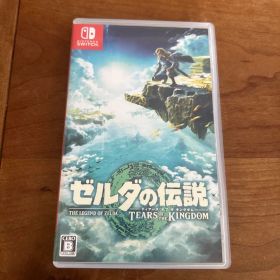 ゼルダの伝説 ティアーズ オブ ザ キングダム Switch