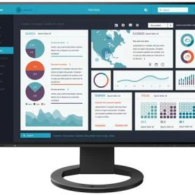 【マラソン限定★ポイント2倍＆2,000円クーポン】送料無料【お取り寄せ】EIZO 液晶ディスプレイ 24.1型 プレミアム ブラック EV2495-BK ディスプレイ モニター本体 デイスプレイ パソコン 家電