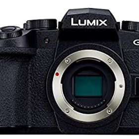 【中古】パナソニック ミラーレス一眼カメラ ルミックス G99 ボディ 2030万画素 ブラック DC-G99-K