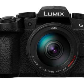 【ポイント10倍】 パナソニック デジタル一眼カメラ LUMIX DC-G99M2H 高倍率ズームレンズキット [ブラック] [タイプ：ミラーレス 画素数：2180万画素(総画素) 2030万画素(有効画素) 撮像素子：フォーサーズ 4/3型 CMOS 重量：481 g] 【P10倍】