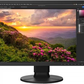 EIZO(エイゾー) CS2400S-BK 液晶ディスプレイ 24.1型/1920×1200/USB Type-C、HDMI、DisplayPort/ブラック/スピーカー：なし